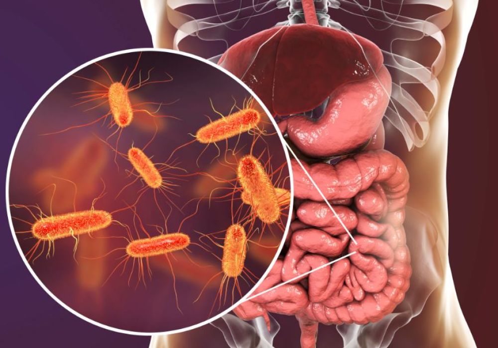 5 sinais de que sua microbiota intestinal está pedindo socorro (E como recuperá-la)