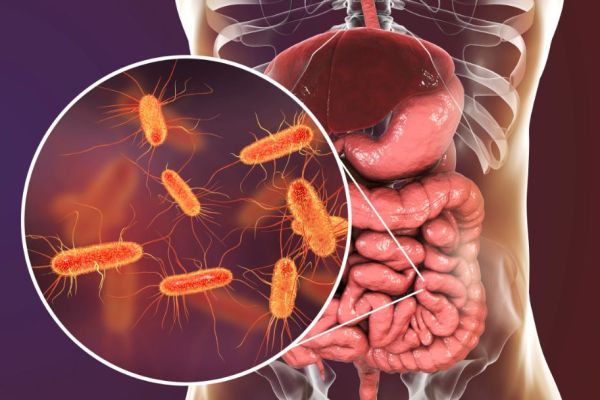 5 sinais de que sua microbiota intestinal está pedindo socorro (E como recuperá-la)