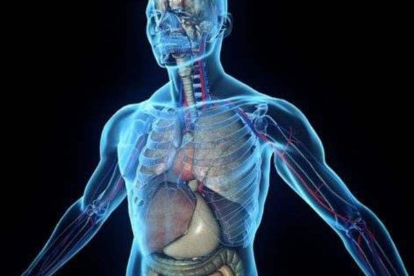 6 curiosidades científicas sobre o corpo humano que vão mudar a forma como você se vê