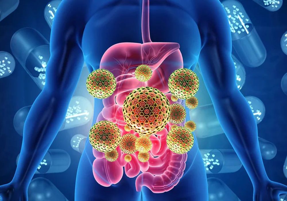 A microbiota intestinal é seu segundo coração: evidências, hábitos e um plano de 14 dias