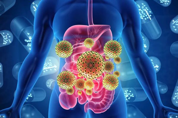 A microbiota intestinal é seu segundo coração: evidências, hábitos e um plano de 14 dias