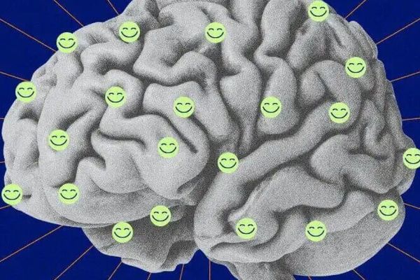 Serotonina: O hormônio da felicidade que também pode proteger seu coração e prevenir doenças